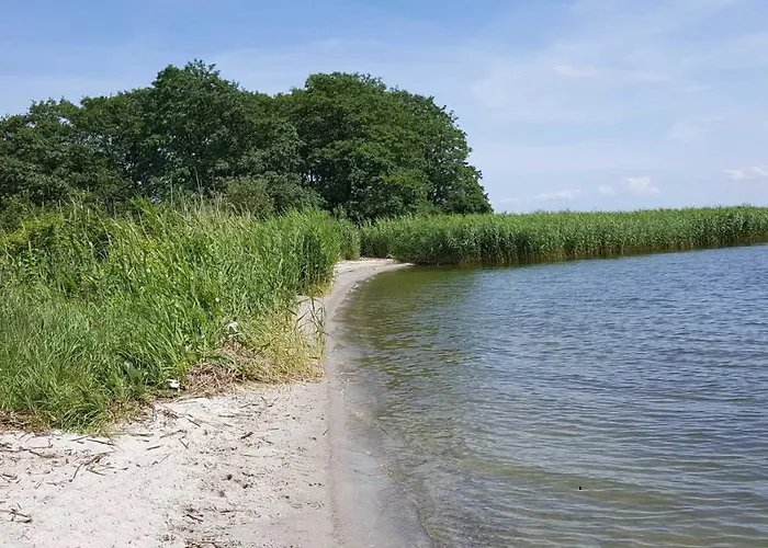 Appartement Terrassenwohnung 